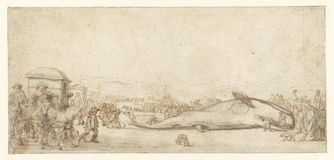 The stranded sperm whale in Noordwijk in 1629, Esaias van de Velde, 1629 Canvas Print