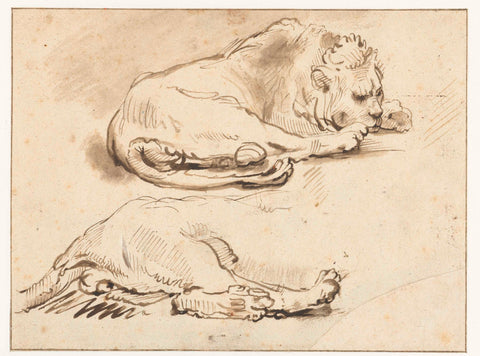 Lion at Rest and Sketch of its Hind Quarters, Rembrandt van Rijn (copy after), after c. 1650 Canvas Print