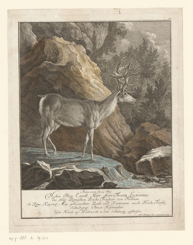 Deer with special antlers, Johann Elias Ridinger, 1741 Canvas Print