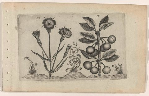 Bolderik and sour cherry, Crispijn van de Passe (I) (attributed to), 1600 - 1604 Canvas Print