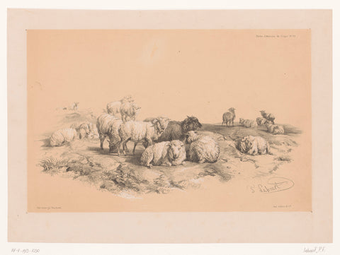 Study of a flock of sheep, Pierre Frédéric Lehnert, 1838 - 1840 Canvas Print