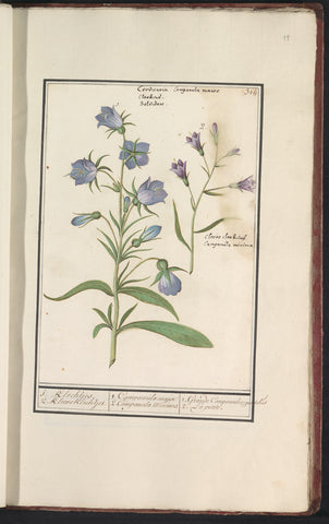 Bell (Campanula), Anselm Boëtius de Boodt, 1596 - 1610 Canvas Print