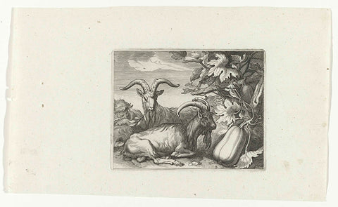 Goats and gourd, anonymous, 1611 - 1650 Canvas Print