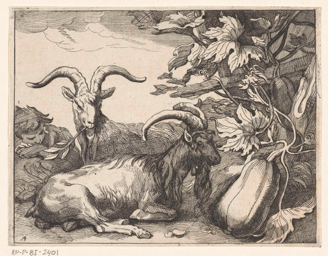 Goats and gourd, Boëtius Adamsz. Bolswert, 1611 - 1661 Canvas Print