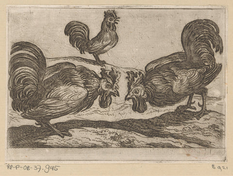 Two fighting cocks, Antonio Tempesta, 1600 Canvas Print