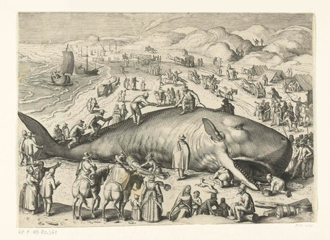 Copy of the stranded whale at Berckhey from 1598 as the whale at Noordwijk in 1614, anonymous, 1614 - 1615 Canvas Print