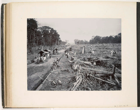 Clearing jungle for a plantation in Sukaranda, Carl J. Kleingrothe, c. 1885 - 1900 Canvas Print