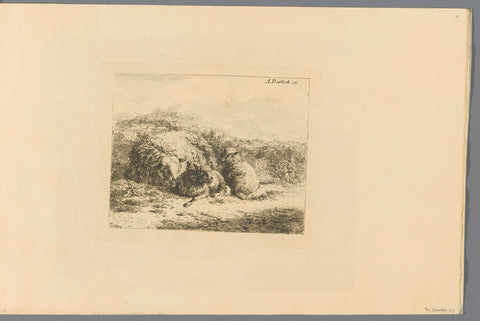 Lying sheep with two lambs, Adam von Bartsch, 1803 - 1805 Canvas Print