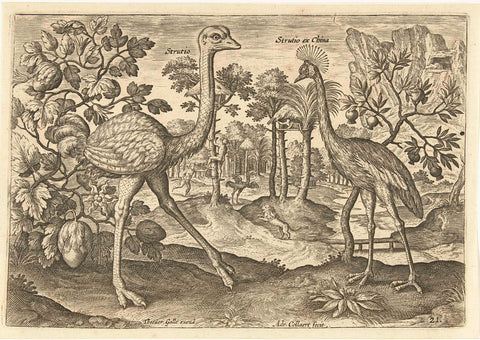 Two ratites in a landscape, Adriaen Collaert, 1598 - 1618 Canvas Print