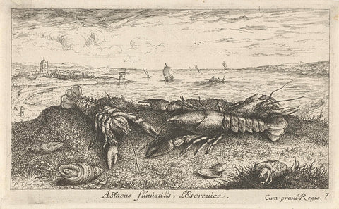 River landscape with crayfish in the foreground, Albert Flamen, 1664 Canvas Print