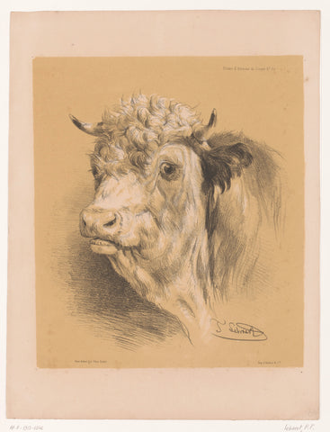 Study of an ox, Pierre Frédéric Lehnert, 1838 - 1840 Canvas Print