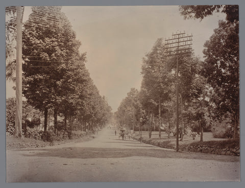 Street in/near Buitenzorg (current Bogor), West-Java, anonymous, after 1903 Canvas Print