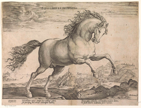 Wild horse, Hendrick Goltzius, 1578 - 1582 Canvas Print