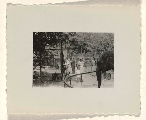 Photo of Stuttgart Zoo, August 1933, anonymous, 1933 Canvas Print