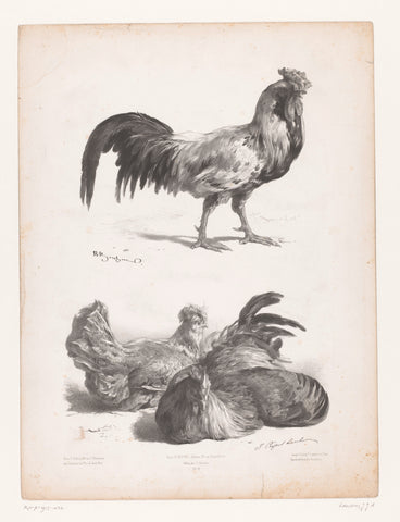 Studies of a and two chickens, Jules Joseph Augustin Laurens, 1865 - 1878 Canvas Print