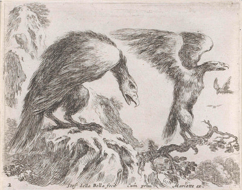 Eagles, Stefano della Bella, 1620-1664 Canvas Print