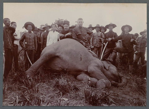 Elephant hunt at Krueng Seumpo, anonymous, 1903 - 1913 Canvas Print