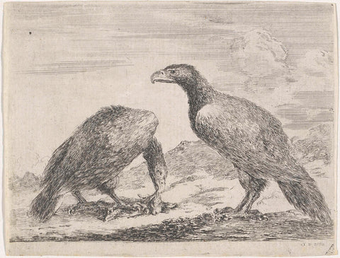 Two eagles, one of which peuzelt to a dead lamb, Stefano della Bella, 1620 - 1664 Canvas Print