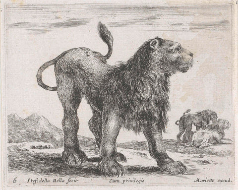 Standing lion, Stefano della Bella, 1620 - 1664 Canvas Print