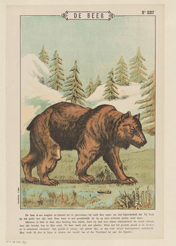 The bear, Gordinne, 1894 - 1959 Canvas Print