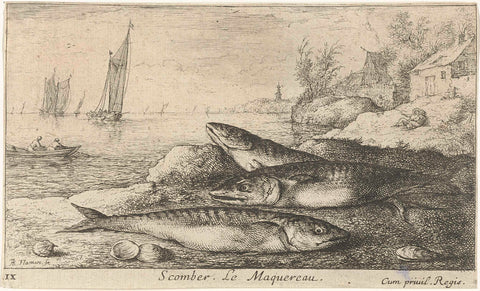 Three mackerel on the beach, Albert Flamen, 1664 Canvas Print