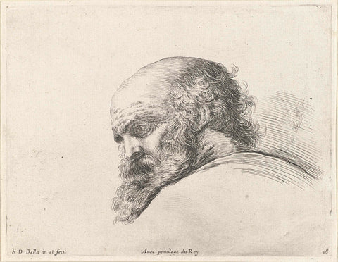 Head of a bald old man with beard, looking down left (possibly H. Petrus), Stefano della Bella, 1620 - 1664 Canvas Print