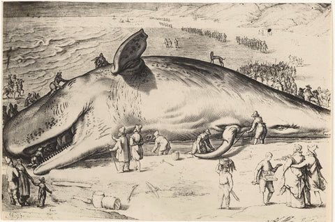 Stranded whale at Wijk aan Zee, 1601, A.B. van Deinse, 1917 Canvas Print