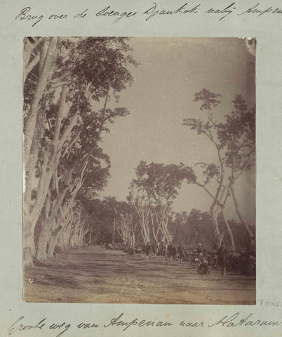 Soldiers on the main road near Ampenan during the Lombok expedition 1894, Christiaan Johan Neeb (attributed to), in or after 1894 Canvas Print