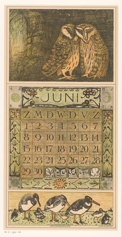 Calendar sheet June with owls and oystercatchers, Theo van Hoytema, 1912 Canvas Print