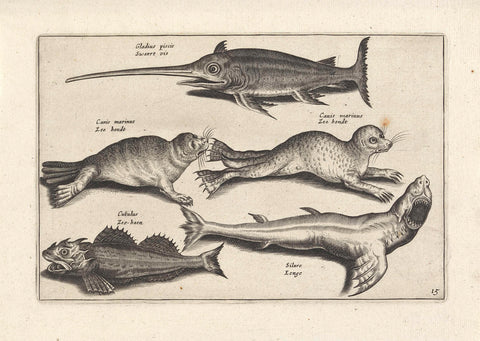 Five sea creatures, anonymous, 1634 Canvas Print