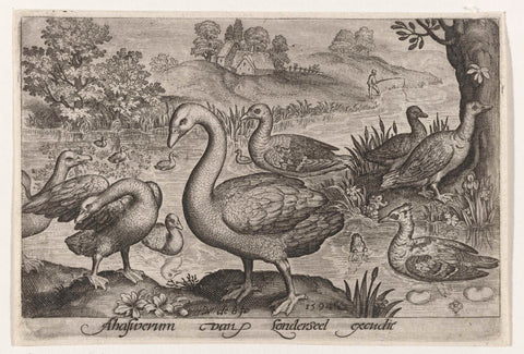 Swan and geese and ducks by water, Nicolaes de Bruyn, 1594 Canvas Print