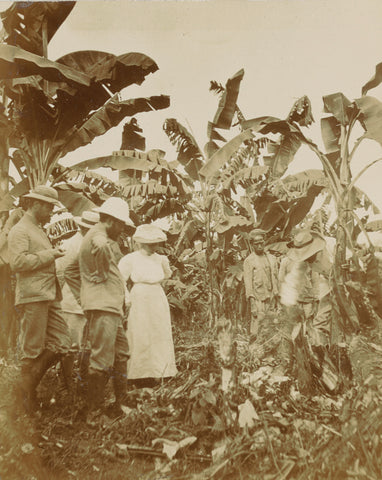 Plantation La Liberté, Andries Augustus Boom, 1908 Canvas Print