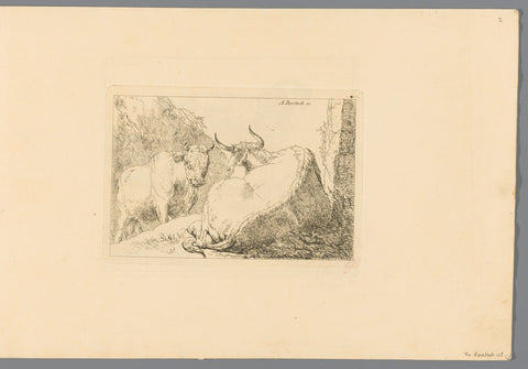 Lying cow seen on the back, behind it a standing bull, Adam von Bartsch, 1803 Canvas Print