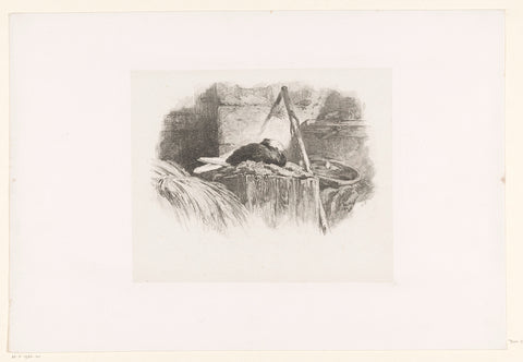 Pigeon on his nest, Karl Bodmer, 1847 Canvas Print