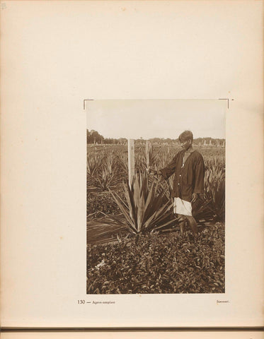 Page 130 of photo book of the General Association of Rubber Planters on the East Coast of Sumatra (AVROS), JW Meyster, c. 1924 - c. 1925 Canvas Print