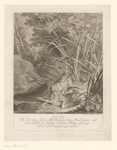 Partridge dog catches a particularly large goose, Johann Elias Ridinger, 1745 Canvas Print
