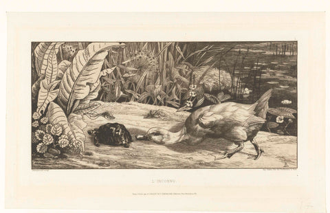 Duck and turtle on the bank of a ditch, Félix Bracquemond, 1860 - 1865 Canvas Print