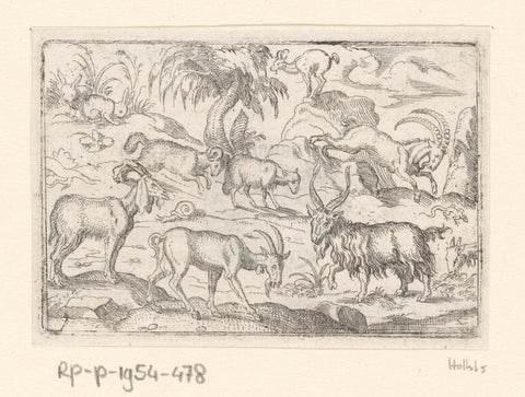 Four goats, a ram, a sheep, a chamois, a ibex, two rabbits a lizard and a snail, Stephan Herman, 1578 - 1596 Canvas Print