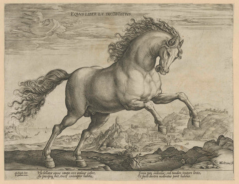 Wild horse, Hendrick Goltzius, 1577 - 1581 Canvas Print