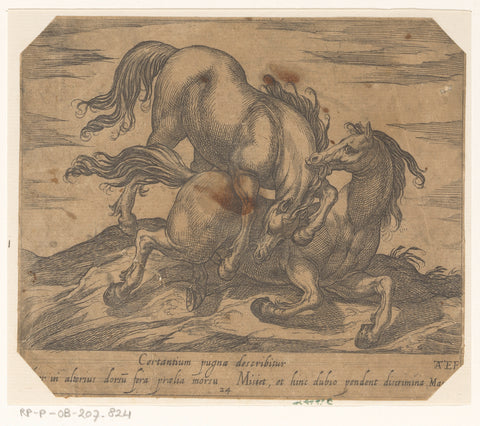 Two fighting horses, Antonio Tempesta, 1590 Canvas Print