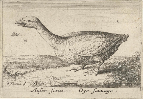 Landscape with wild goose, Albert Flamen, 1659 Canvas Print