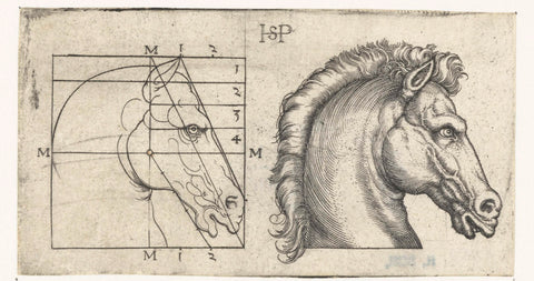 Horse head and drawing in schematic according to proportion theory, Hans Sebald Beham, 1510 - 1550 Canvas Print