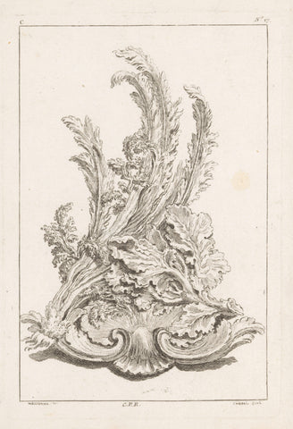 Shell motif with leaves, Pierre Quentin Chedel, 1738 - 1749 Canvas Print