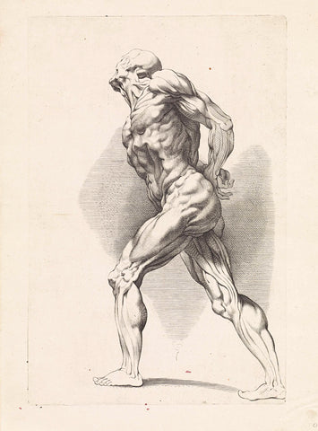 Anatomical study of a standing man, Paulus Pontius, 1616 - 1657 Canvas Print