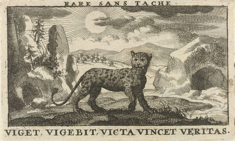 Panther in a landscape, Jan Luyken, 1689 Canvas Print