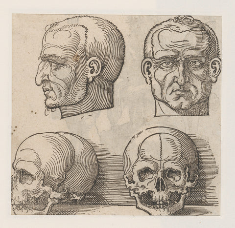 Models for heads of men and skulls, anonymous, Hans Sebald Beham, 1565 Canvas Print