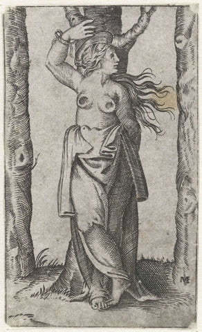 Saint Agatha tied to tree with severed breasts, Marcantonio Raimondi, 1500 - 1575 Canvas Print