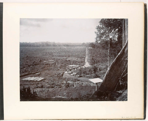 View of the seed fields of a plantation near Sukarno, Sumatra (Saatfelder Sukarno), Stafhell & Kleingrothe, c. 1890 - 1900 Canvas Print