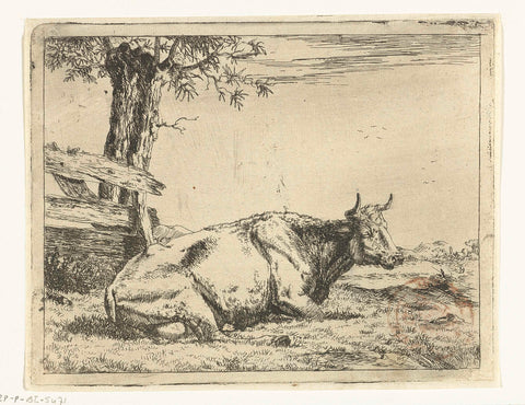 Resting cow at a fence, Marcus the Bye, 1657 Canvas Print