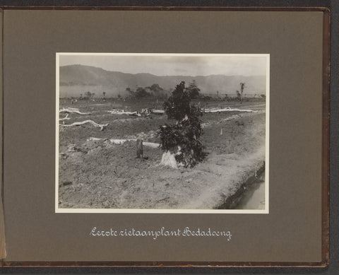 First reed planting Bedadoeng, Atelier Kurkdjian, 1931 Canvas Print